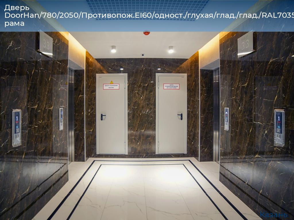 Дверь DoorHan/780/2050/Противопож.EI60/одност./глухая/глад./глад./RAL7035/лев./угл. рама, kazan.doorhan.ru