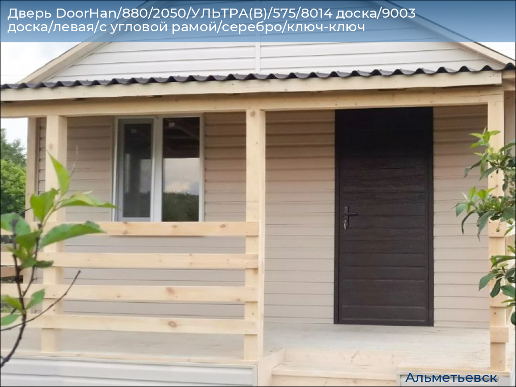 Дверь DoorHan/880/2050/УЛЬТРА(B)/575/8014 доска/9003 доска/левая/с угловой рамой/серебро/ключ-ключ, almetevsk.doorhan.ru